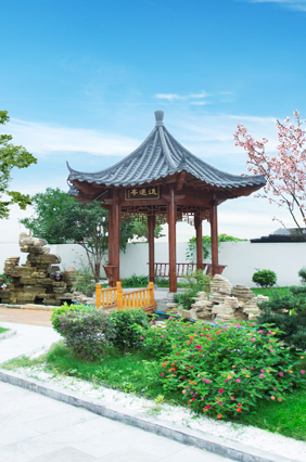 企业文化
